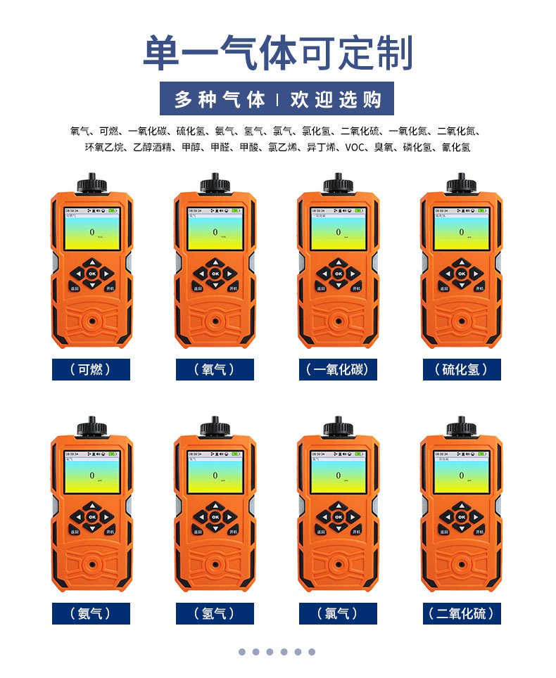 愛德克斯X-4(BX)泵吸多氣體檢測儀2.jpg