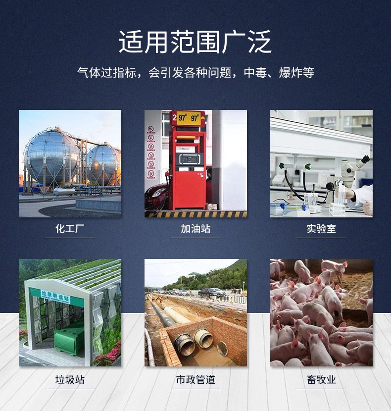 愛德克斯X-4(BX)泵吸多氣體檢測儀3.jpg
